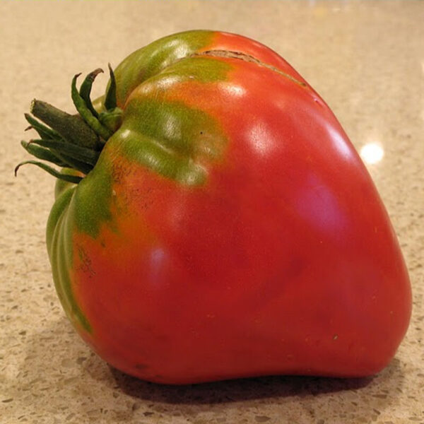 GERMAN RED STRAWBERRY (I)
